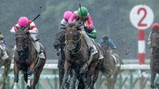 【札幌5R新馬戦結果】サトノダイヤモンド産駒ダイシンラーがゴール前で差し切りV