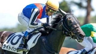 【新潟記念予想】牡馬が圧倒的な良績を残す！ 苦戦傾向の牝馬に求められる好走条件とは