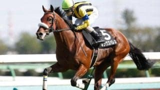 【新潟記念前日オッズ】キングズパレスが3.6倍で1番人気