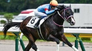 中京芝は中枠優勢 パワー兼備のアーリントンロウが軸だ