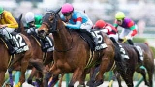 【AI予想・新潟記念】前走の人気とレース当日の人気は要チェック！ 人工知能は安定感が魅力の実力馬に高評価