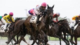 【中京7R】良血マルモアが初勝利…母はマーブルカテドラル