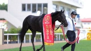 【札幌2歳S】佐々木大「最後まで必死」マジックサンズがデビュー2連勝