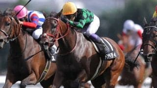 【アジア競馬連盟T】武豊ドナベティがV…札幌リーディングを爆走