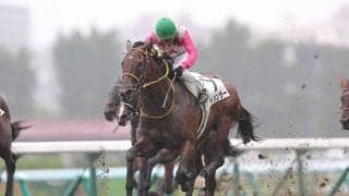 【南アフリカ賞】サトノダイヤモンド産駒 ダイシンラーがデビューV