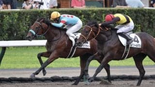 【札幌2R】ヘニーヒューズ産駒 アローオブライトが初勝利…積極的な運びで抜け出す