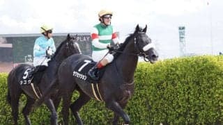 サクセッションの競走馬登録抹消…障害で活躍