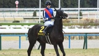 【今日の注目ポイント】新潟記念と中京で小倉2歳S