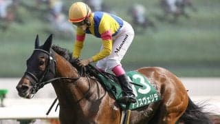 競馬・新潟記念は今年も荒れる!?　人気馬の陰に隠れた２頭の素質馬が高配当を運んでくる