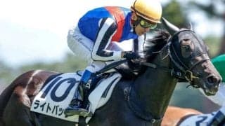 【新潟記念予想】夏競馬の締めくくり サマー2000シリーズ最終戦