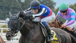 【新潟記念予想】1番人気馬は5年連続馬券圏外の波乱傾向!? 過去データで探るハンデGIII戦