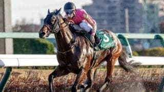 【佐賀・サマーチャンピオン注目馬】JBCスプリントに向けても見逃せない一戦