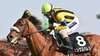 新潟芝は中団から馬場の中程がVロード キングズパレスの差し切りだ