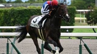 【中京5R新馬戦結果】キングマン産駒のフードマンが押し切り勝ち