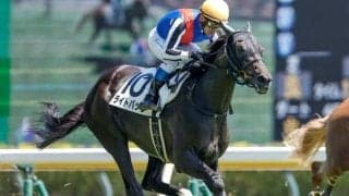 【新潟記念・馬体重】ライトバックは482kg(+6)、キングズパレスは494kg(-2)