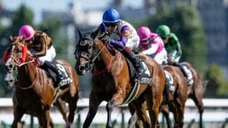 【シンガポールTC賞結果】カワキタマナレアが突き抜け無傷の2連勝