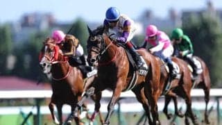 【シンガポールTC賞】カワキタマナレアがデビュー2連勝