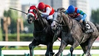 【タイランドC結果】ショウナンバシットが接戦を制し2連勝