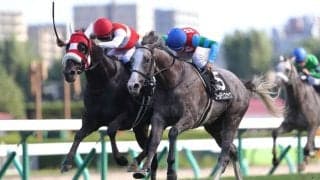 【タイランドC】大激戦！ショウナンバシットが追い比べを制する