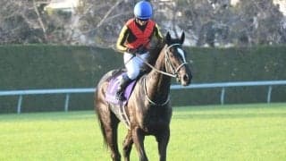 【京成杯AH】アスコリピチェーノ、ディオらが登録