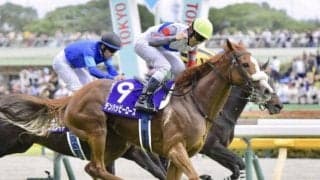 秋競馬が開幕！ セントウルSなど3重賞/今週の競馬界の見どころ