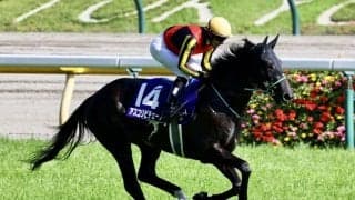 【京成杯AH登録馬】アスコリピチェーノなど19頭