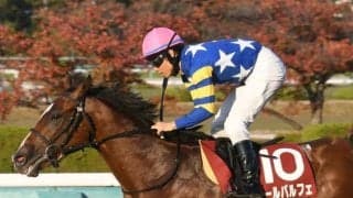 22年のデイリー杯2歳Sを制したオールパルフェが登録抹消 今後は園田競馬に移籍