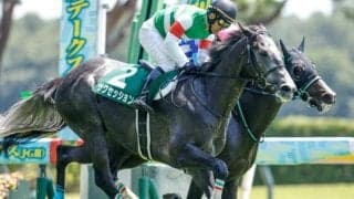 23年の新潟ジャンプS覇者サクセッションが登録抹消 今後は乗馬に