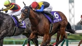 【セントウルS見どころ】スプリンターズS連覇を狙うママコチャ