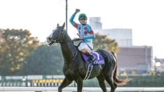 社台SSが今シーズンの交配頭数を発表 種付け料2000万円のイクイノックスは203頭、キズナが最多で218頭