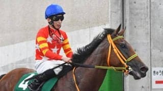 【新潟記念】売上は46億1267万1400円で昨年より約21億円減少 発走直前にライトバックが競走除外に