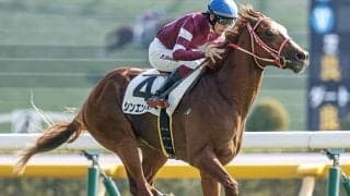 愛G1・アイリッシュチャンピオンステークスの馬券発売が決定 日本からシンエンペラーが参戦予定