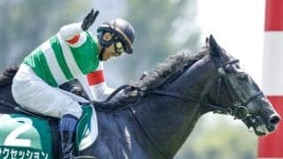 【先週のJRA抹消馬】昨年の新潟JS覇者サクセッション、22年のNHKマイルCで波乱呼んだカワキタレブリーなど