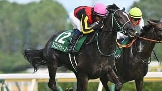 【京成杯AH想定騎手】アスコリピチェーノはC.ルメール騎手、ディオは岩田康誠騎手
