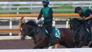 母系にGI馬複数 師も太鼓判押すパンジャタワー/関西馬メイクデビュー情報