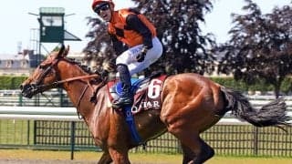 仏G1・凱旋門賞の馬券発売が決定 日本からシンエンペラーが参戦予定