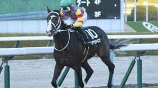 【AI予想・セントウルS】サマースプリント最終戦は関西馬が圧倒！ 関東馬は重賞での実績が必要不可欠