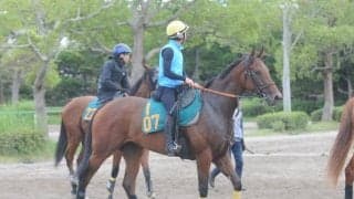 シラユキヒメ一族から生まれた鹿毛馬 フォンデネージュが中山で初陣/関東馬メイクデビュー情報