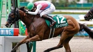 重賞連勝中の3歳牝馬がセントウルSで快挙狙う カレンチャンら名スプリンターに並ぶ記録なるか