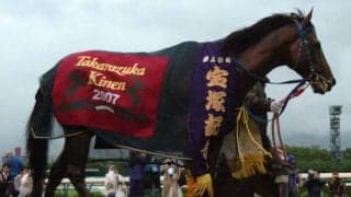 スピードが持ち味の名種牡馬「エンドスウィープ」を紹介 イメージを覆し芝向きの大物を多数出した傑物