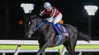 【川崎・戸塚記念枠順】京浜盃覇者サントノーレは1枠1番