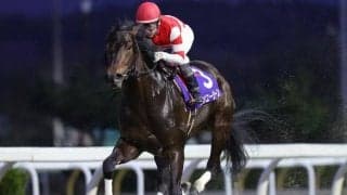 【盛岡・不来方賞注目馬】8戦無敗馬フジユージーンがダートグレード競走に初チャレンジ JRA所属馬も強者揃い