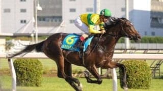 【川崎・若武者賞枠順】無敗制覇狙うベアバッキューンは4枠4番