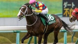 “親子タッグ”で重賞初制覇なるか セントウルSにアサカラキングと挑む