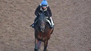 ヨーホーレイクなど、先週の入厩情報/栗東トレセンニュース