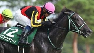 【京成杯AH予想オッズ】アスコリピチェーノが予想1番人気