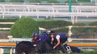 オールセインツ＆メリオーレム、神戸新聞杯2週前追い切り速報/栗東トレセンニュース