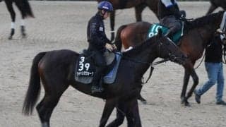 クイーンズウォーク、ローズS1週前追い切り速報/栗東トレセンニュース