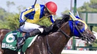 武豊騎手が15年ぶりに京成杯AH参戦 4回目の挑戦で初制覇なるか