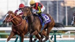 【ローズS想定】レガレイラ、クイーンズウォークなど12頭